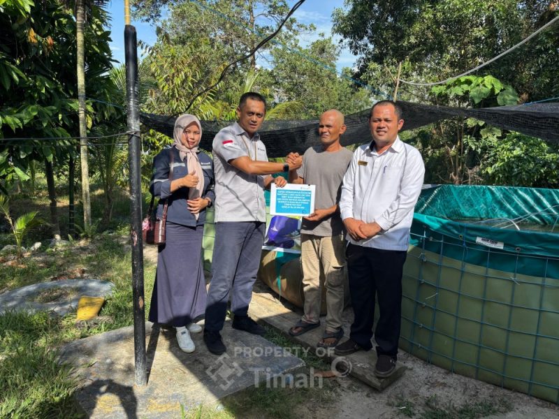 PT Timah Salurkan Bioflok dan Bibit Nila untuk Perkuat Ekonomi Warga Kundur Barat