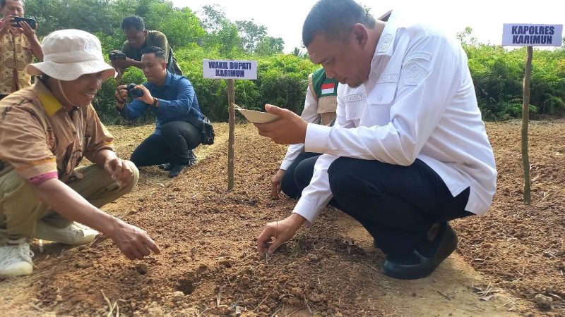 Wakil Bupati Karimun, Rocky Marciano Bawole menanam perdana bibit bawang merah yang rencananya akan dikembangkan di Karimun. FOTO: rr/kepriheadline.id