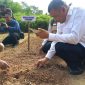 Wakil Bupati Karimun, Rocky Marciano Bawole menanam perdana bibit bawang merah yang rencananya akan dikembangkan di Karimun. FOTO: rr/kepriheadline.id