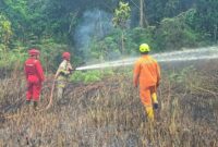 Petugas Kewalahan, Karhutla Hampir Setiap Hari Terjadi di Karimun Awal 2026. FOTO: ISTIMEWA/BPBD DAN DAMKAR KARIMUN