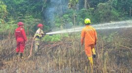 Petugas Kewalahan, Karhutla Hampir Setiap Hari Terjadi di Karimun Awal 2026. FOTO: ISTIMEWA/BPBD DAN DAMKAR KARIMUN