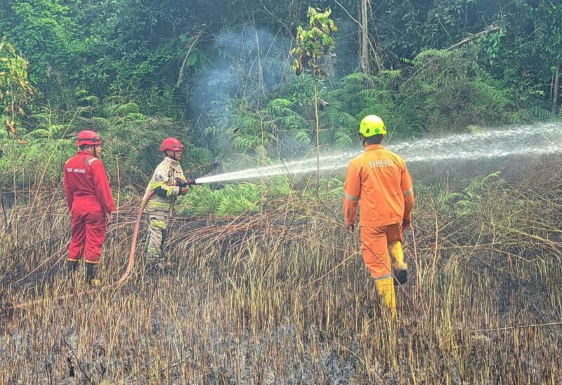 Petugas Kewalahan, Karhutla Hampir Setiap Hari Terjadi di Karimun Awal 2026. FOTO: ISTIMEWA/BPBD DAN DAMKAR KARIMUN