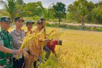 Bupati Karimun Pimpin Panen Raya Padi Cakra Buana di Moro, Produksi Capai 10 Ton per Hektare. FOTO: ISTIMEWA/DINAS PANGAN DAN PERTANIAN