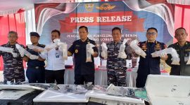 Bea Cukai Kepri Gagalkan Penyelundupan 104.082 Benih Bening Lobster Senilai Rp 11 Miliar.