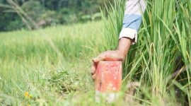 Mudik Lebaran? Pastikan Batas Tanah Jelas untuk Cegah Sengketa dengan Tetangga