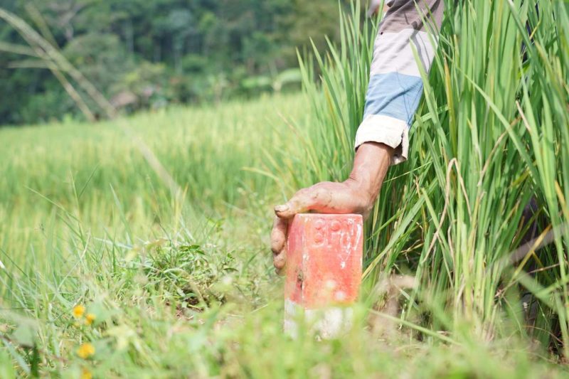 Mudik Lebaran? Pastikan Batas Tanah Jelas untuk Cegah Sengketa dengan Tetangga