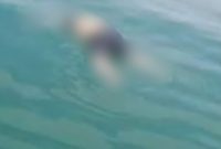 Breaking News! Mayat Tanpa Identitas Ditemukan Mengapung di Perairan Pulau Mudu Karimun
