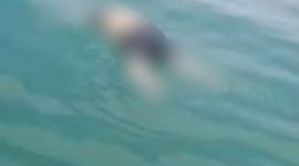 Breaking News! Mayat Tanpa Identitas Ditemukan Mengapung di Perairan Pulau Mudu Karimun
