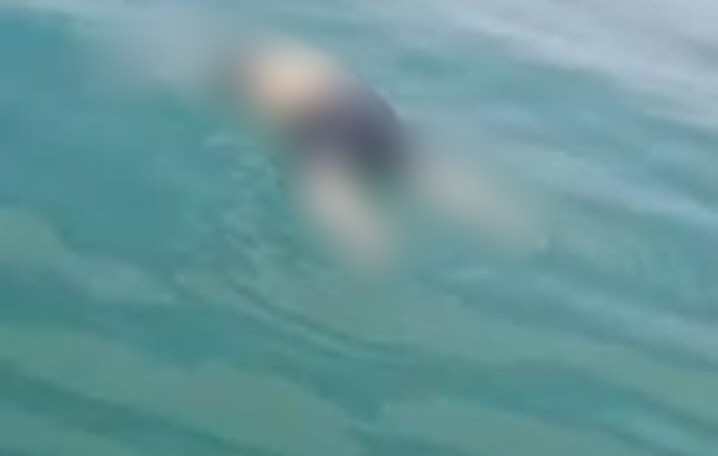 Breaking News! Mayat Tanpa Identitas Ditemukan Mengapung di Perairan Pulau Mudu Karimun