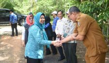 TP PKK Kepri Salurkan 40 Ribu Bibit Cabai, Dorong Ketahanan Pangan Keluarga