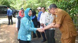 TP PKK Kepri Salurkan 40 Ribu Bibit Cabai, Dorong Ketahanan Pangan Keluarga