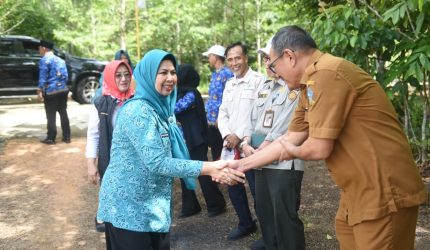 TP PKK Kepri Salurkan 40 Ribu Bibit Cabai, Dorong Ketahanan Pangan Keluarga