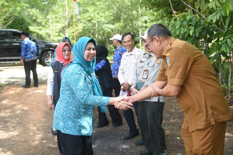 TP PKK Kepri Salurkan 40 Ribu Bibit Cabai, Dorong Ketahanan Pangan Keluarga