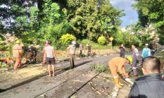 Tiang Listrik Patah Tertimpa Pohon di Teluk Air Karimun, Akses Kelistrikan Sempat Terputus