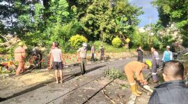 Tiang Listrik Patah Tertimpa Pohon di Teluk Air Karimun, Akses Kelistrikan Sempat Terputus