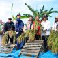 Perkuat Ketahanan Pangan, Bupati Karimun Panen Perdana Padi Gogo Cakrabuana