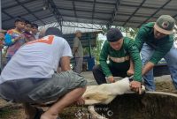 Karyawan PT TIMAH dan Jamaah Masjid Al Huda Gotong Royong Salurkan Daging Kurban untuk Masyarakat