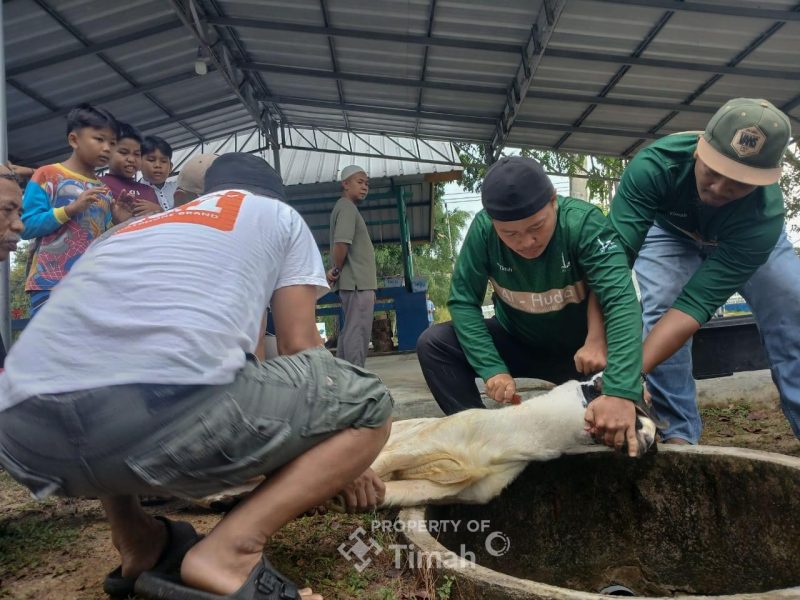 Karyawan PT TIMAH dan Jamaah Masjid Al Huda Gotong Royong Salurkan Daging Kurban untuk Masyarakat