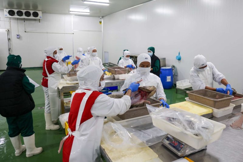 Menteri Trenggono dan Gubernur Ansar Resmikan Pabrik Pengolahan Ikan PT BIG di Bintan
