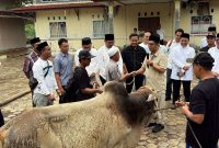 Dinas PUPR Karimun Sembelih 3 Sapi dan 1 Kambing pada Idul Adha 1447 H