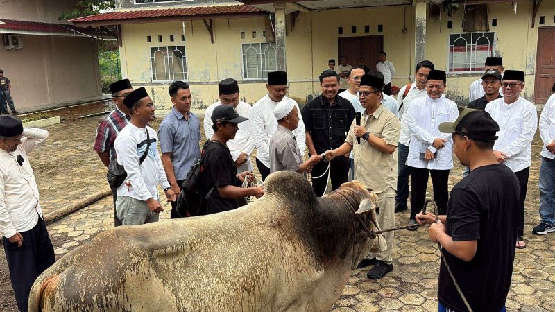 Dinas PUPR Karimun Sembelih 3 Sapi dan 1 Kambing pada Idul Adha 1447 H