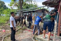 Lanal Tanjung Balai Karimun Sembelih 4 Sapi dan 5 Kambing pada Idul Adha 1447 H