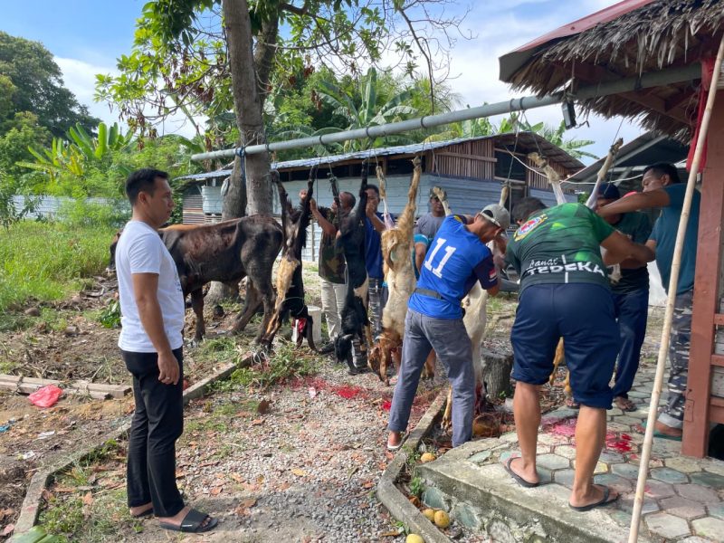 Lanal Tanjung Balai Karimun Sembelih 4 Sapi dan 5 Kambing pada Idul Adha 1447 H