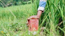 Pasang Patok, Langkah Sederhana untuk Cegah Sengketa Batas Tanah dengan Tetangga