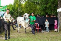 Bupati di Berbagai Daerah Apresiasi Penyaluran 281 Hewan Kurban PT Timah