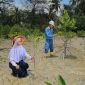 PT TIMAH Tanam 36.100 Mangrove Sepanjang 2025, Perkuat Ekosistem Pesisir dan Dukung Target Net Zero Emissions