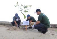 PT Timah Tanam Pohon dan Bersihkan Pantai Asmara Dewi di Kundur Barat, Dorong Pelestarian Lingkungan Pesisir
