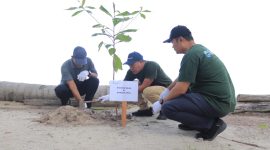 PT Timah Tanam Pohon dan Bersihkan Pantai Asmara Dewi di Kundur Barat, Dorong Pelestarian Lingkungan Pesisir