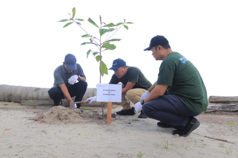 PT Timah Tanam Pohon dan Bersihkan Pantai Asmara Dewi di Kundur Barat, Dorong Pelestarian Lingkungan Pesisir