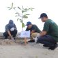 PT Timah Tanam Pohon dan Bersihkan Pantai Asmara Dewi di Kundur Barat, Dorong Pelestarian Lingkungan Pesisir