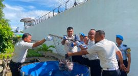 Rutan Karimun Panen 65 Kilogram Lele, Dukung Ketahanan Pangan Nasional dan Pembinaan Warga Binaan