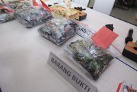 Polda Kepri Sita 928 Vape Etomidate, 127 Ekstasi dan 816 Gram Sabu dari 10 Kasus Narkoba