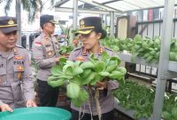 Dukung Ketahanan Pangan, Polsek Meral Panen 50 Kilogram Pakcoy dari Hidroponik