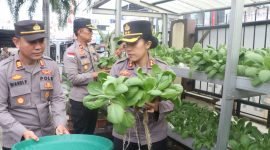 Dukung Ketahanan Pangan, Polsek Meral Panen 50 Kilogram Pakcoy dari Hidroponik