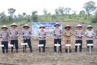 Polres Karimun Gandeng BUMDes Pangke Barat Optimalkan Lahan 2 Hektare untuk Jagung