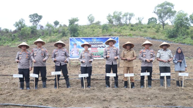 Polres Karimun Gandeng BUMDes Pangke Barat Optimalkan Lahan 2 Hektare untuk Jagung