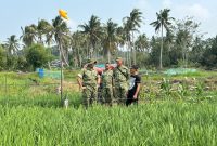 Dandim 0317/TBK Dorong Pangke Jadi Penggerak Ketahanan Pangan Kabupaten Karimun