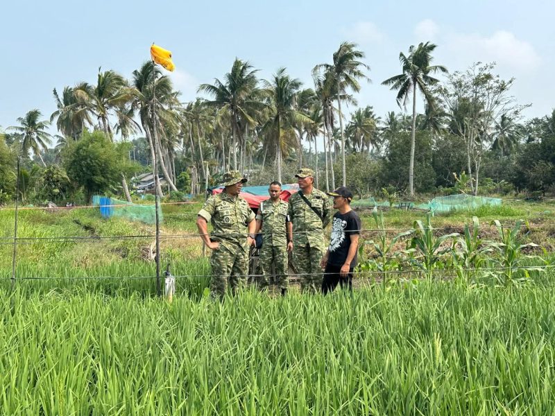 Dandim 0317/TBK Dorong Pangke Jadi Penggerak Ketahanan Pangan Kabupaten Karimun