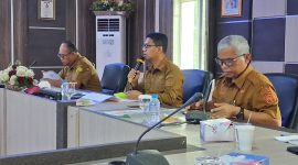 Bupati Karimun Tekankan Efisiensi Anggaran dan Konsep Entrepreneur Government dalam Peringatan HUT Daerah