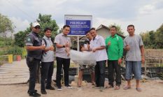 PT TIMAH Bantu Warga Sawang Laut Kembangkan Usaha, dari Budidaya Kakap hingga Terasi