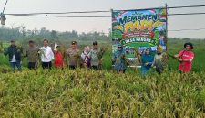 Karimun Mulai Kembangkan Pertanian Lokal, Desa Pangke Karimun Bidik 20 Hektare Sawah pada 2027