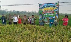 Karimun Mulai Kembangkan Pertanian Lokal, Desa Pangke Karimun Bidik 20 Hektare Sawah pada 2027