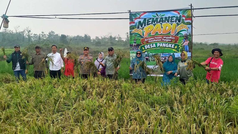 Karimun Mulai Kembangkan Pertanian Lokal, Desa Pangke Karimun Bidik 20 Hektare Sawah pada 2027