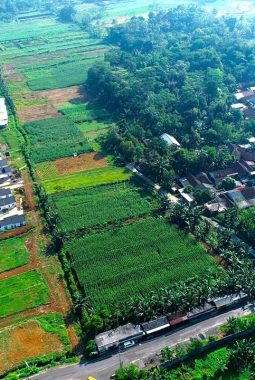 Lampaui Target, LP2B Nasional Capai 87,63 Persen